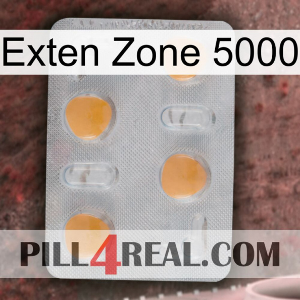 Exten Zone 5000 24.jpg